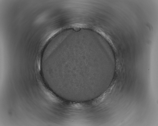 X0000111470062200907271320