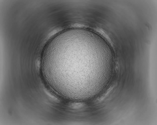 X0000111470063200907271320