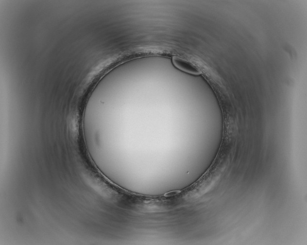 X0000111470064200907271320