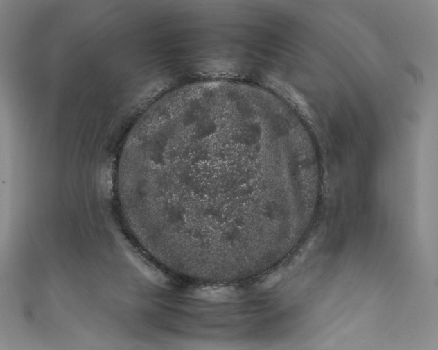 X0000111470065200907271320