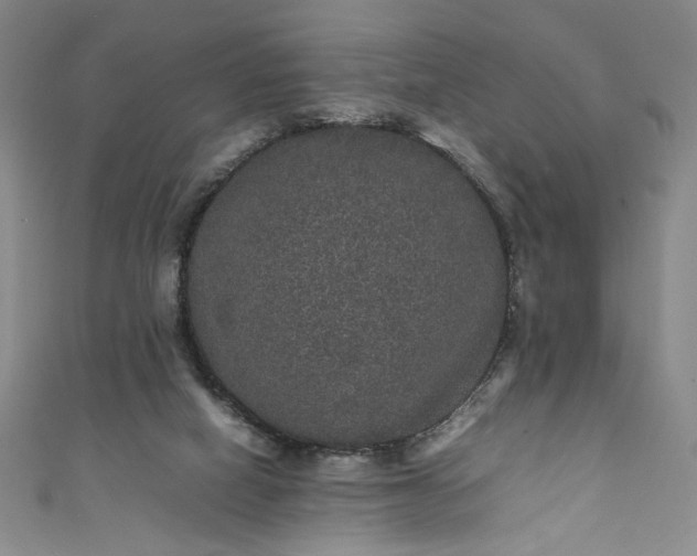 X0000111470066200907271320