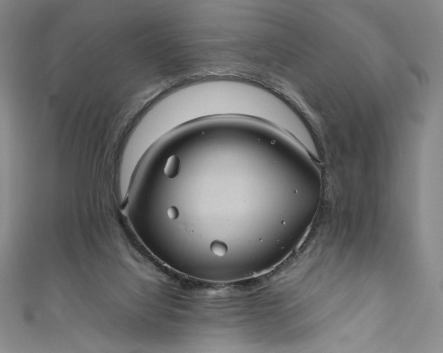 X0000111470068200907271320