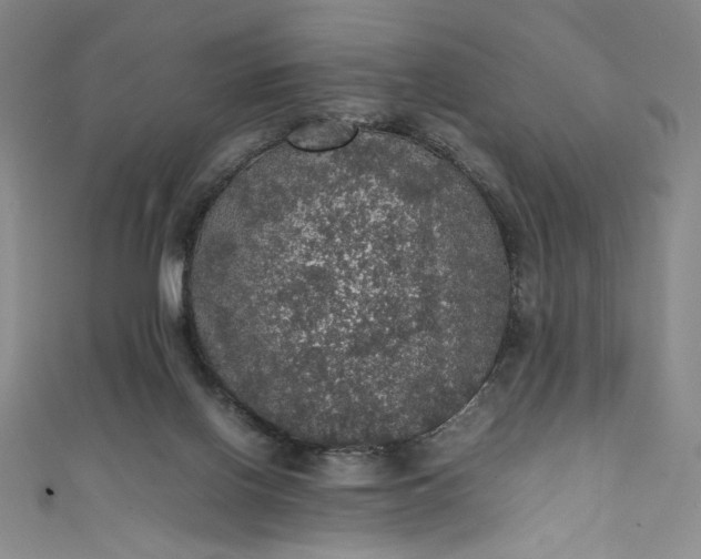 X0000111470070200907271320