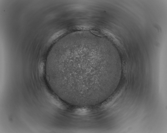 X0000111470071200907271320