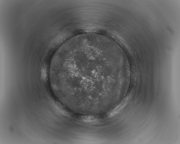 X0000111470074200907271320