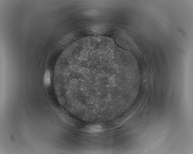 X0000111470075200907271320