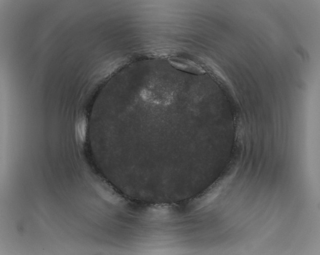 X0000111470076200907271320