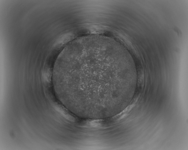 X0000111470078200907271320