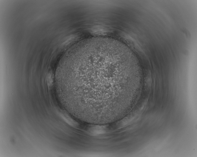 X0000111470081200907271320