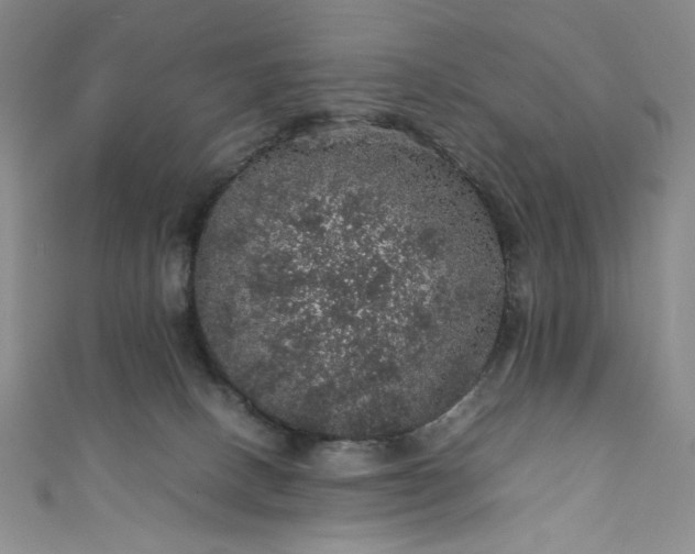 X0000111470082200907271320