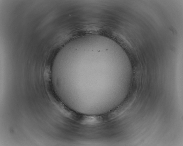 X0000111470083200907271320