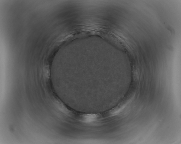 X0000111470085200907271320