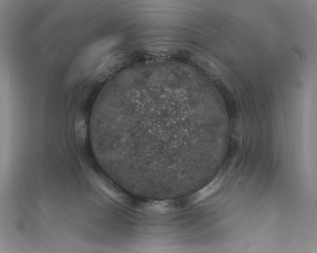 X0000111470086200907271321