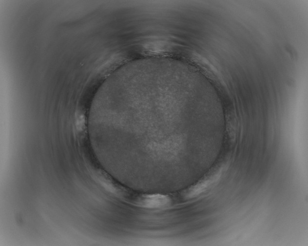 X0000111470087200907271321