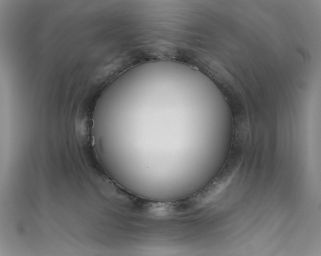 X0000111470088200907271321