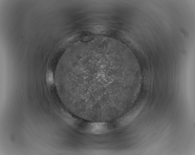 X0000111470089200907271321