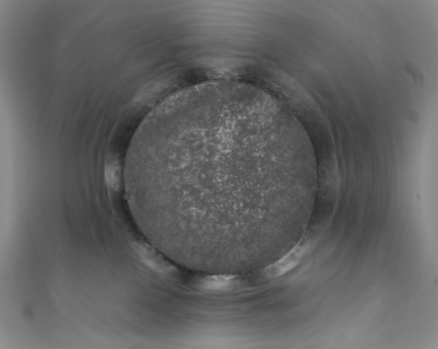 X0000111470090200907271321