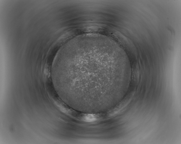 X0000111470091200907271321