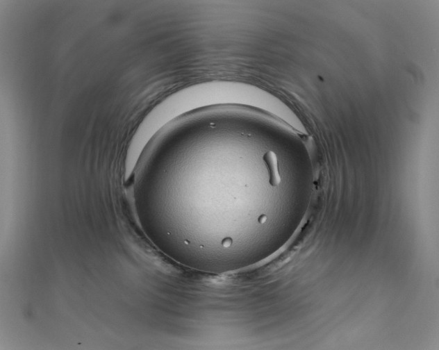 X0000111470092200907271321