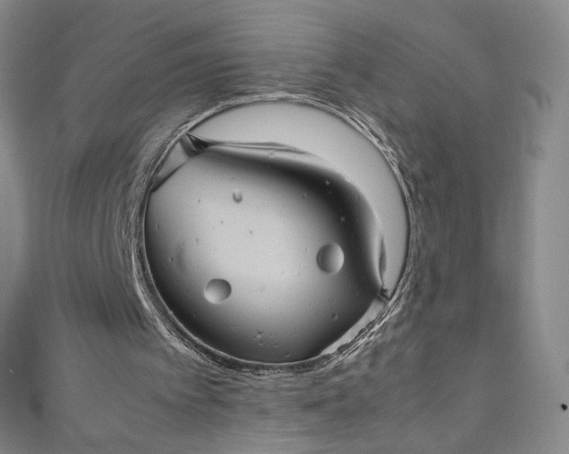 X0000111470097200907271320