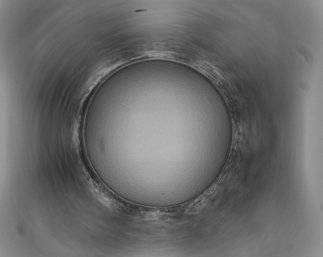 X0000111470098200907271320