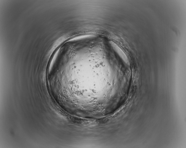 X0000111470099200907271320