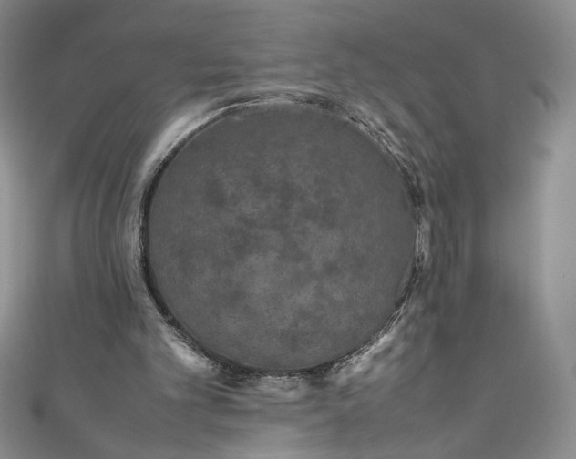 X0000111470101200907271320