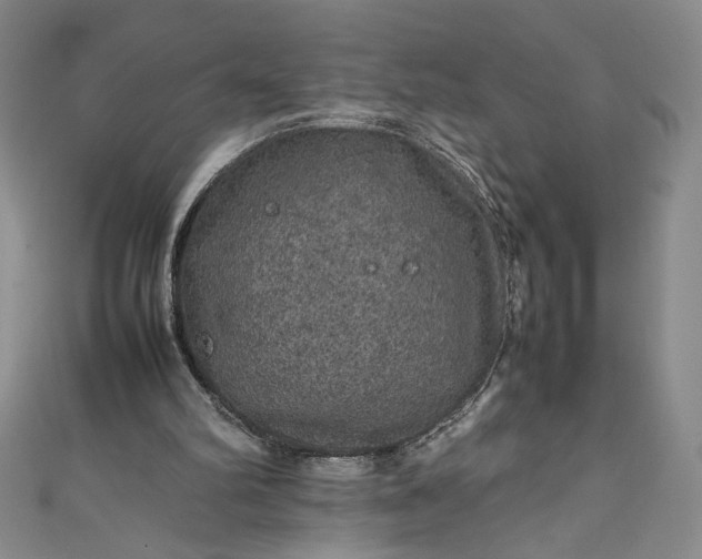 X0000111470102200907271320