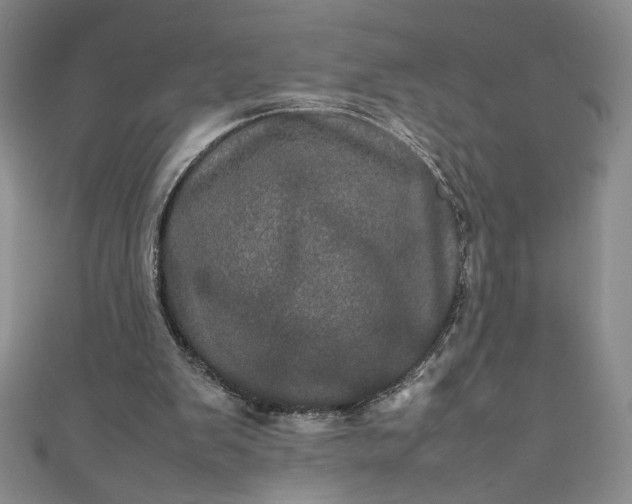 X0000111470103200907271320