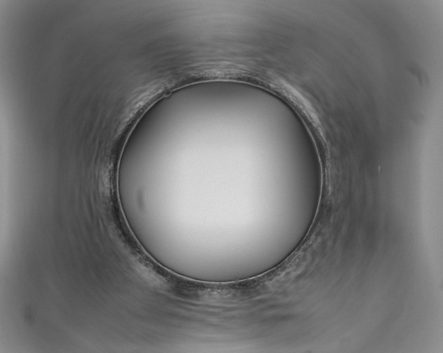 X0000111470105200907271320