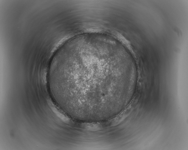 X0000111470106200907271320