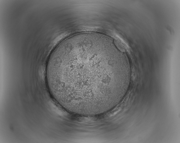 X0000111470107200907271320