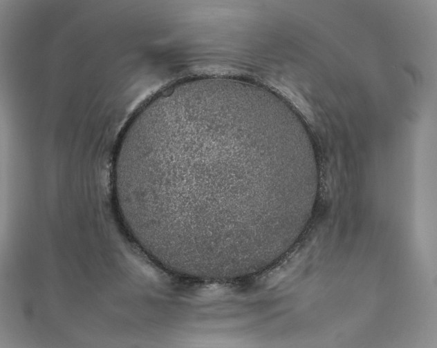 X0000111470111200907271320