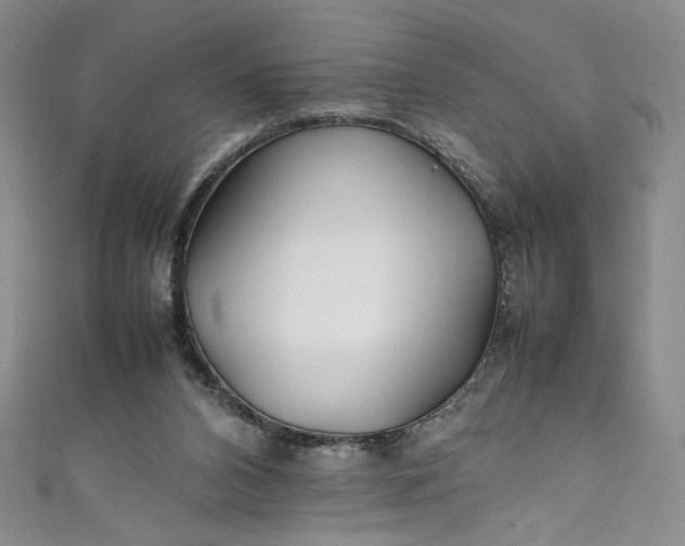 X0000111470112200907271320