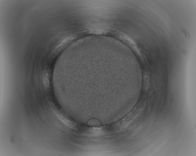 X0000111470114200907271320