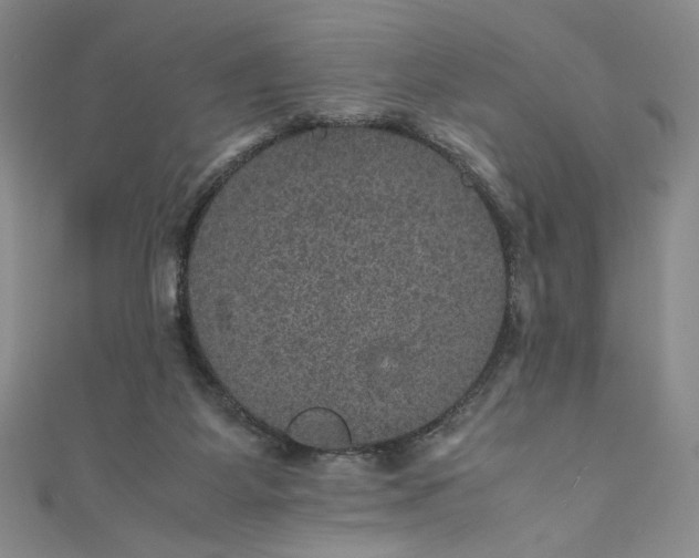 X0000111470115200907271320