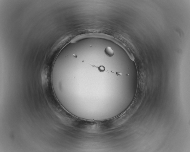 X0000111470116200907271320