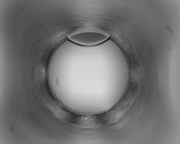 X0000111470117200907271320