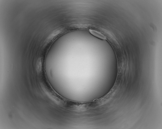 X0000111470120200907271320