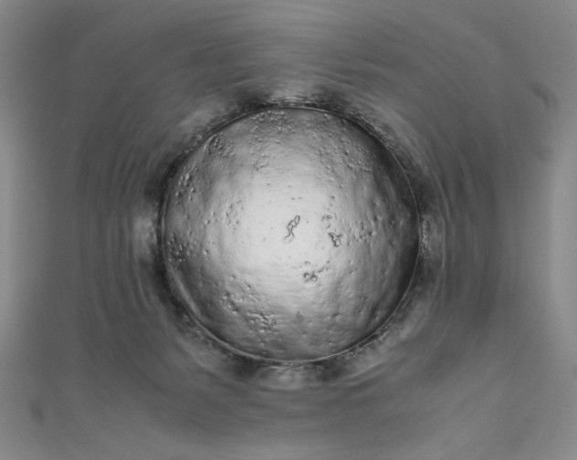 X0000111470127200907271320