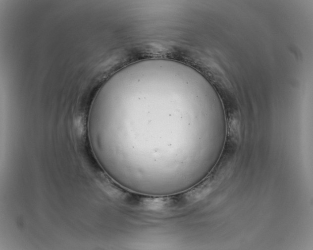 X0000111470131200907271320