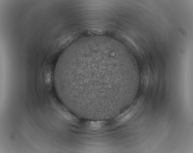 X0000111470134200907271320