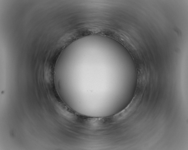 X0000111470136200907271320