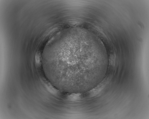 X0000111470138200907271319