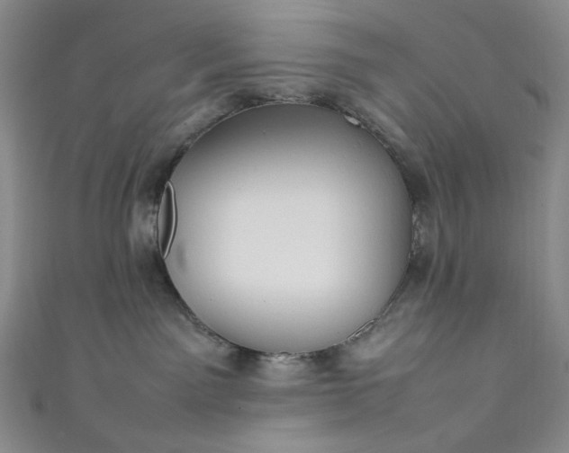 X0000111470141200907271319