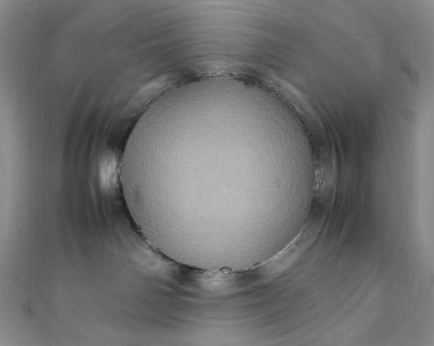 X0000111470142200907271319