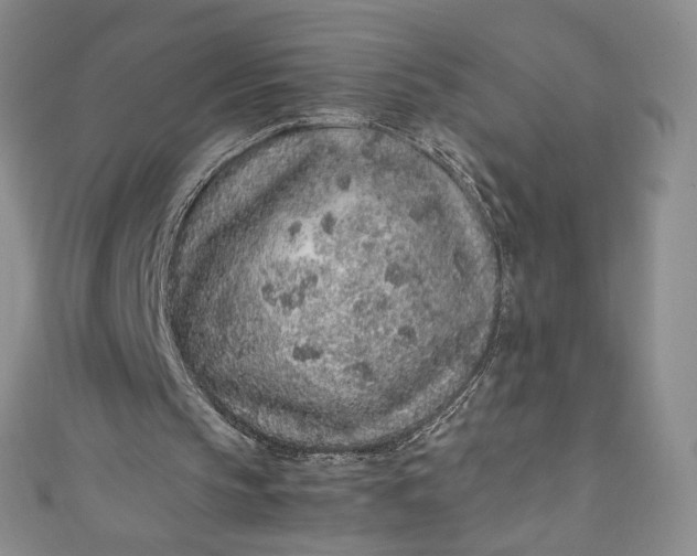 X0000111470145200907271319