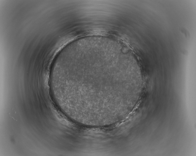 X0000111470146200907271319