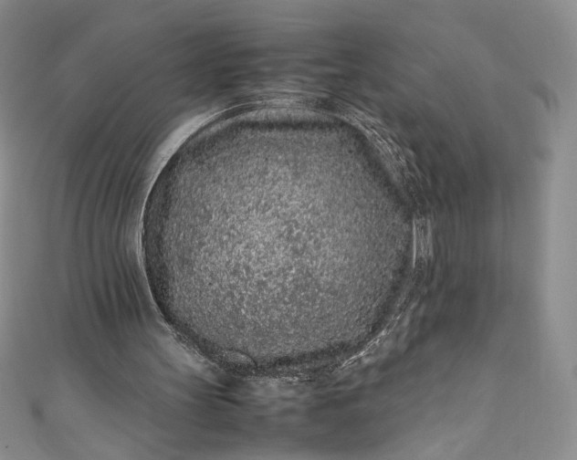 X0000111470147200907271319