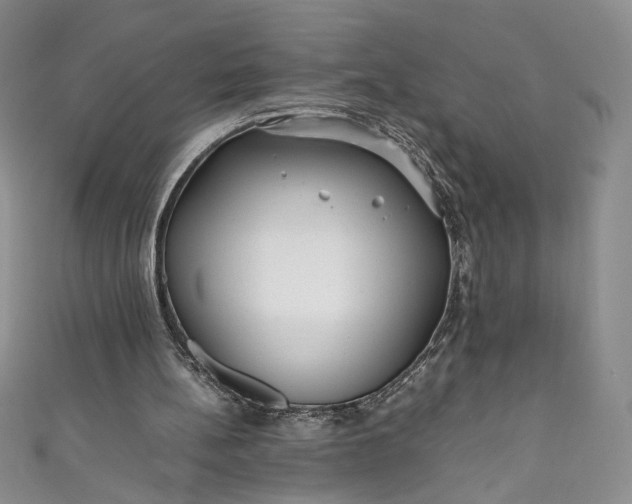 X0000111470148200907271319